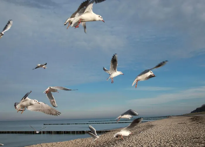 Admiral's Cor- Gulet By Interhome * Вик